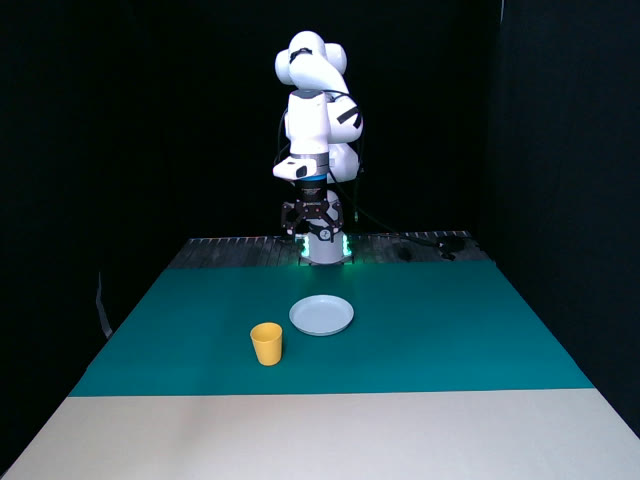 Pick-Spatial scene layout